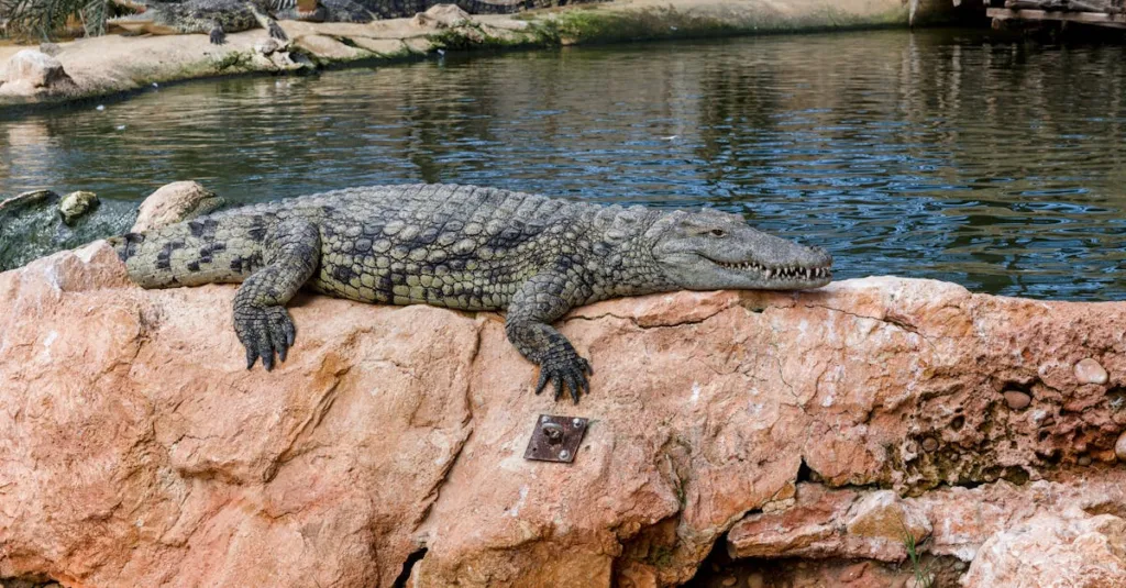 découvrez les spécialités culinaires de l'ardèche, une région riche en saveurs authentiques et produits du terroir à savourer absolument.