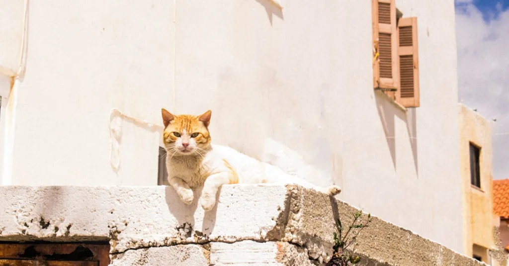 découvrez tout sur les chats : leurs comportements, races, soins et astuces pour bien s'occuper de votre félin.