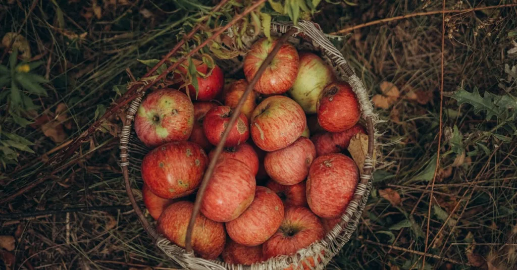 découvrez le kaki, un fruit délicieux riche en vitamines et antioxydants, idéal pour une alimentation saine et gourmande.