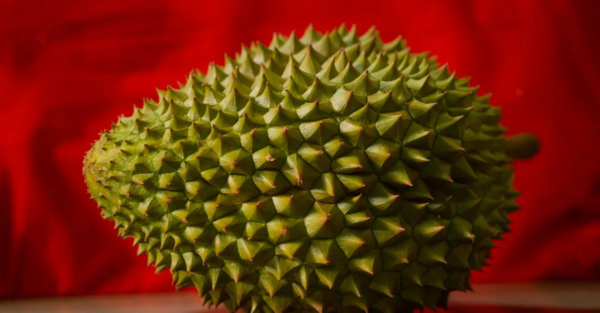 découvrez une sélection de fruits comestibles dont le nom commence par la lettre d, pour enrichir vos recettes et vos goûters.