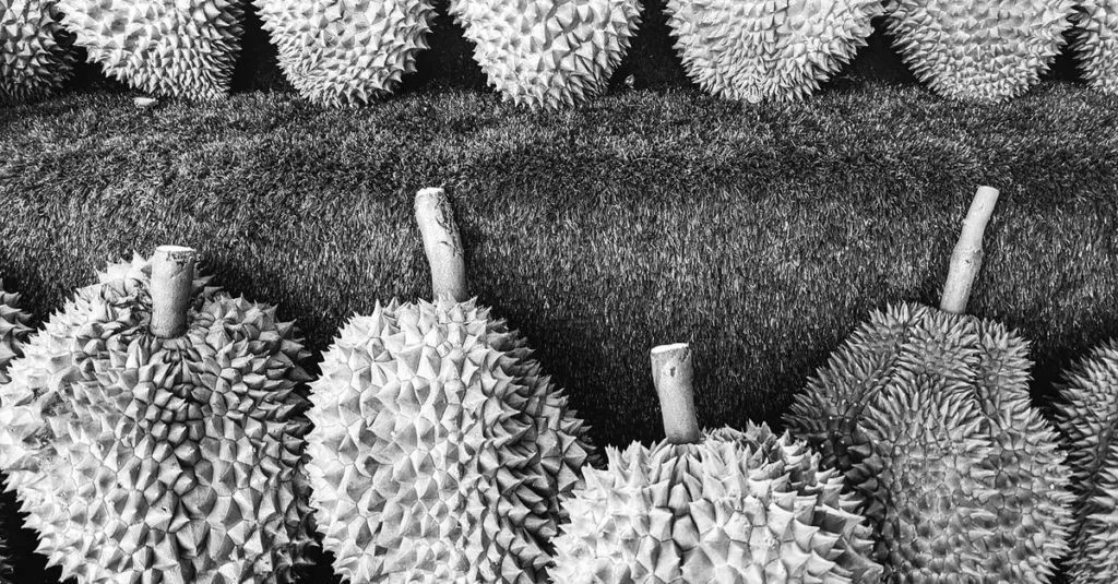 découvrez une liste de fruits comestibles commençant par la lettre d, avec leurs caractéristiques et bienfaits pour une alimentation saine.