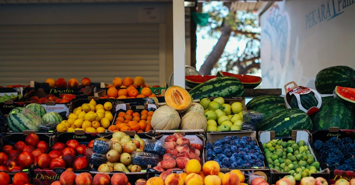 découvrez une variété délicieuse et saine de fruits frais pour enrichir votre alimentation quotidienne.