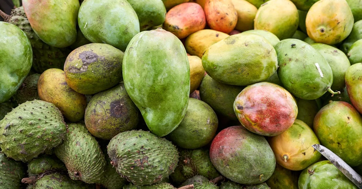 découvrez notre sélection variée de fruits frais et savoureux, riches en vitamines et parfaits pour une alimentation saine et équilibrée.