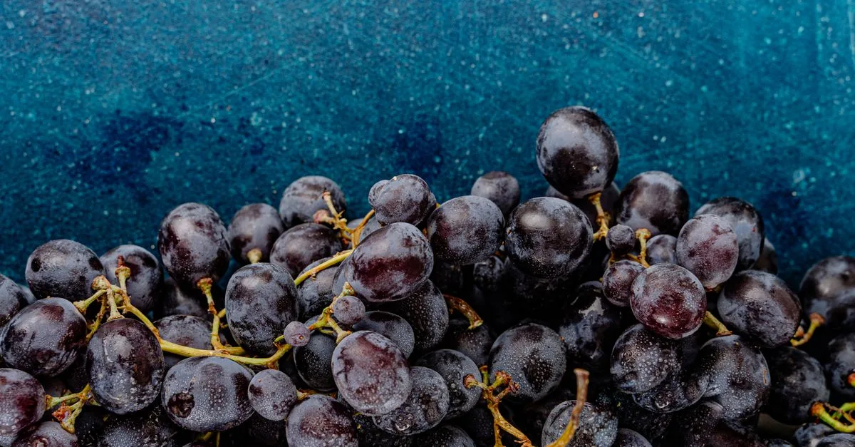 découvrez une liste savoureuse de fruits commençant par la lettre e, parfaits pour des recettes saines et délicieuses.