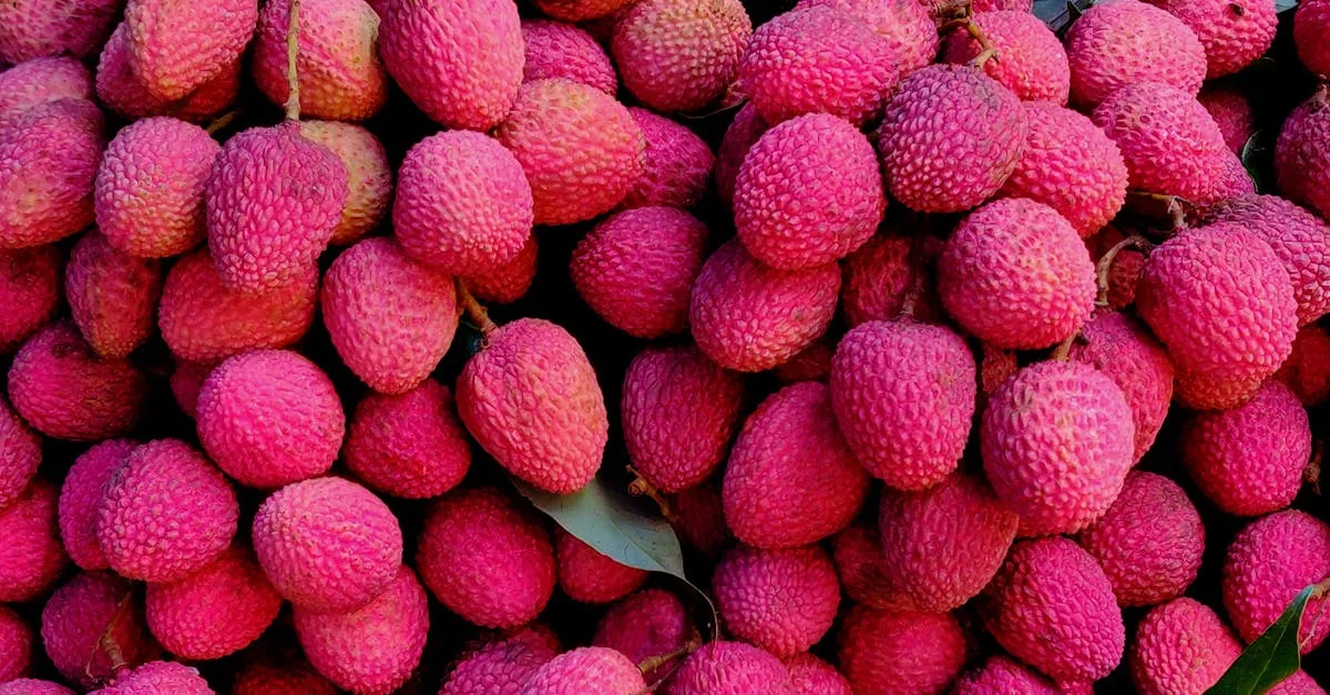 découvrez une liste de fruits dont le nom commence par la lettre l, pour enrichir votre alimentation et explorer de nouvelles saveurs.