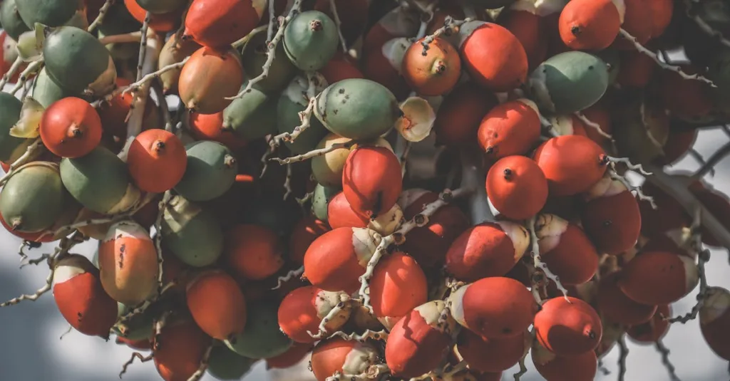 découvrez une liste fascinante de fruits dont le nom commence par la lettre z, leurs caractéristiques, bienfaits et utilisations.