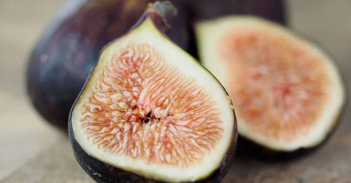 découvrez le figuier de barbarie, une plante succulente aux fruits délicieux et aux bienfaits nutritionnels exceptionnels, idéale pour votre jardin ou votre alimentation.