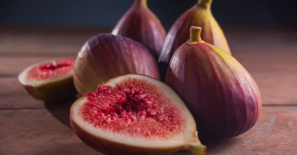 découvrez le figuier de barbarie, également appelé indian fig, un cactus aux fruits délicieux et aux vertus nutritionnelles exceptionnelles.
