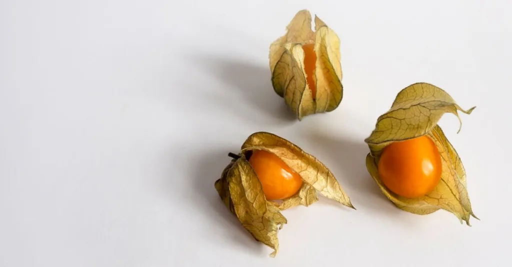 découvrez notre sélection exclusive de fruits rares, des saveurs uniques pour émerveiller vos papilles et explorer de nouvelles expériences gustatives.