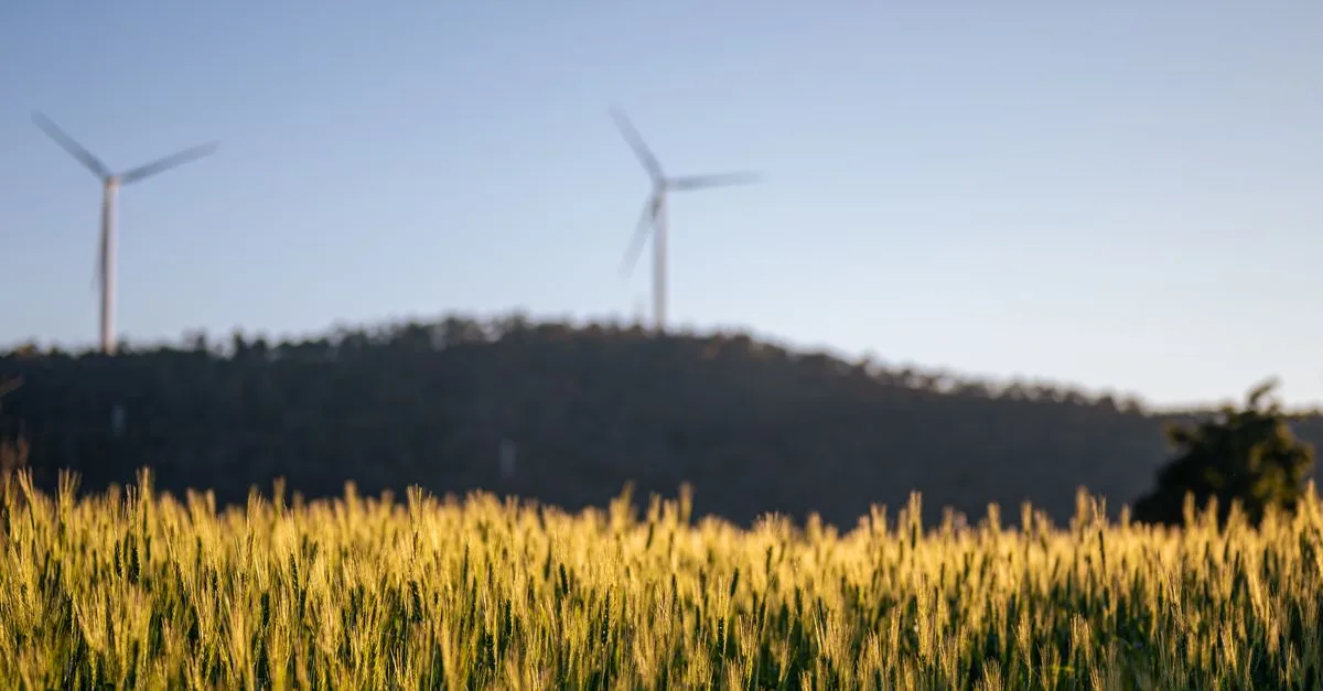 découvrez les principes de l'agriculture durable, une approche respectueuse de l'environnement qui favorise la préservation des ressources naturelles et la production alimentaire responsable.